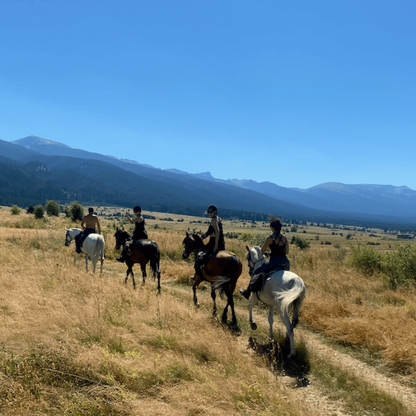 Horse riding in Rila. Galloping to happiness. Rancho Rila