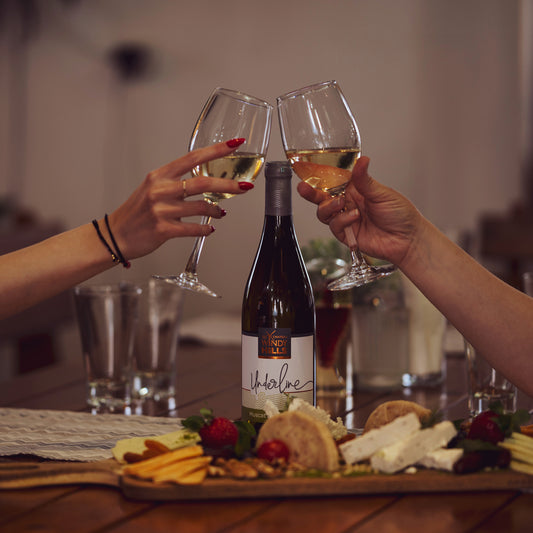 Wine tasting tour in Windy Hills