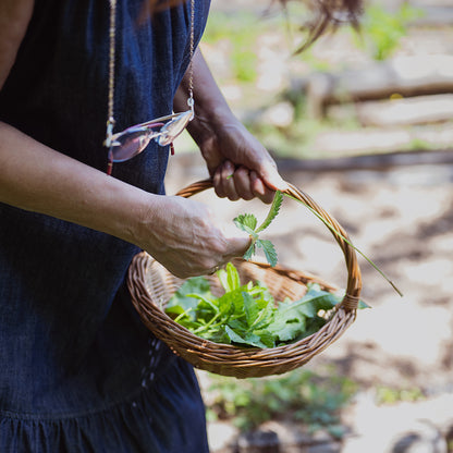 Wine and gastronomic holiday for two. Portaria, Greece