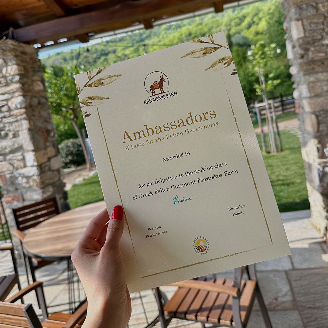 Wine and gastronomic holiday for two. Portaria, Greece