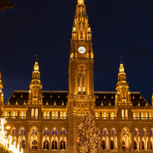 A dream gift. Two days in Vienna and a guided tour