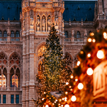 A dream gift. Two days in Vienna and a guided tour
