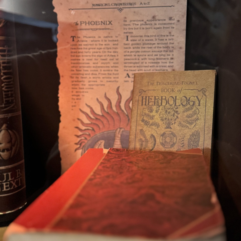 Escape Room - The chamber of secrets