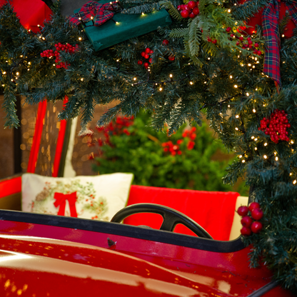 Magical Christmas Photoshoot