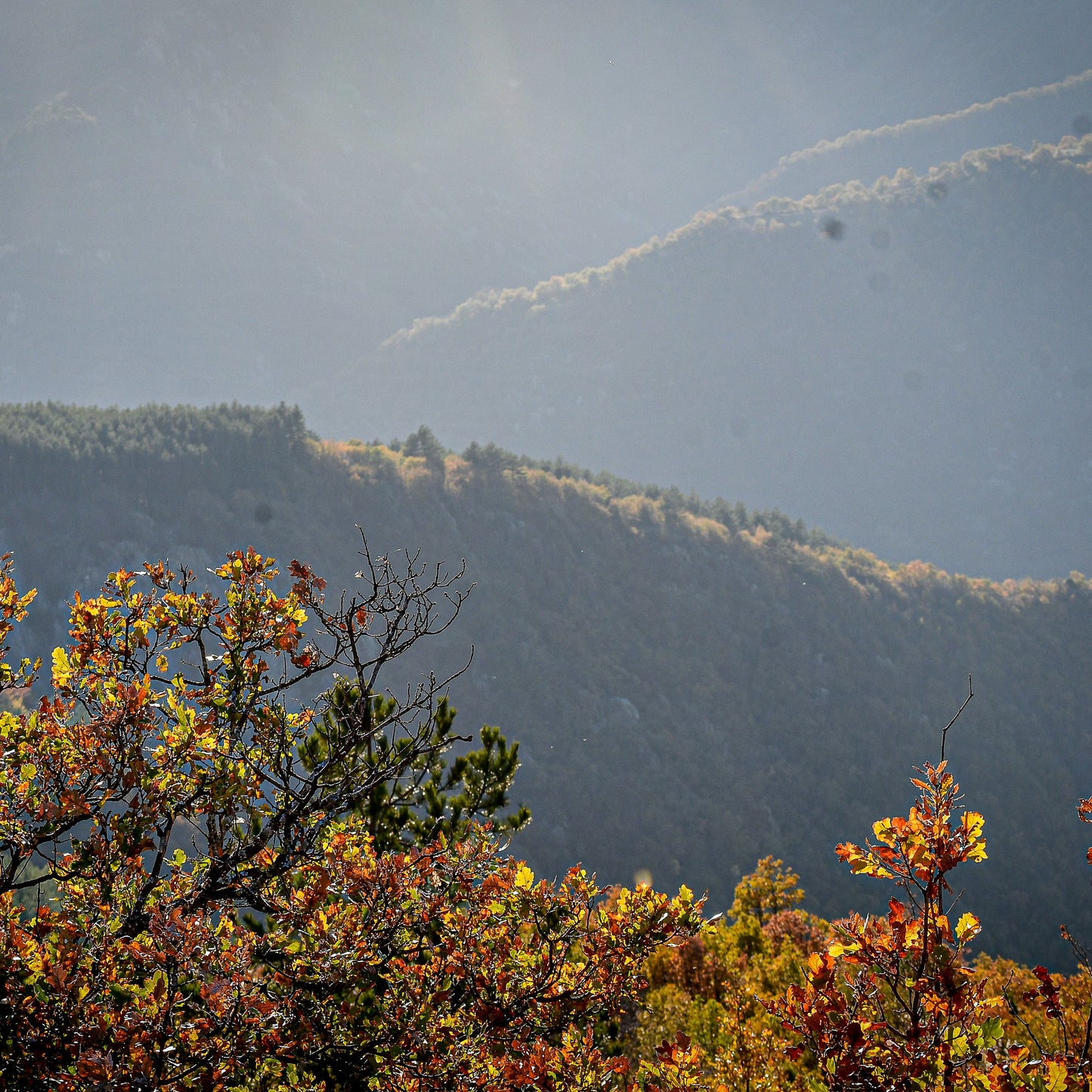 Eco adventure in Debeli Dab: Two nights with a scenic walk