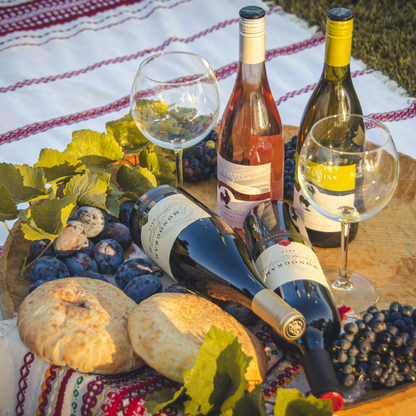 An offroad adventure for two and picnic in the vineyards around Plovdiv