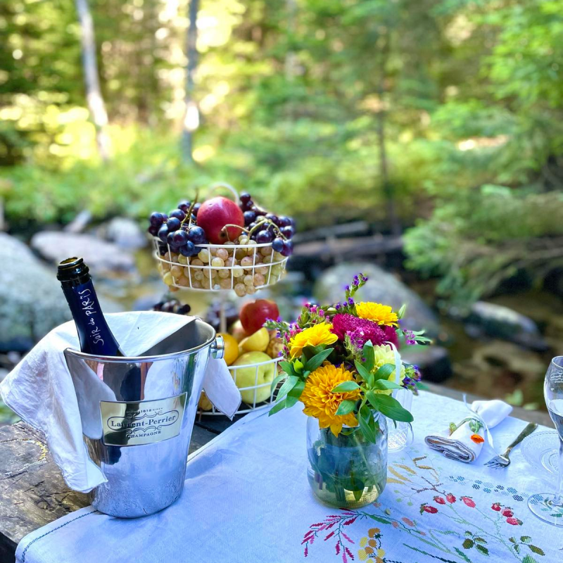 Nature, taste and shared moments – elegant picnic in Vitosha