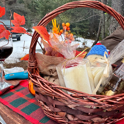 ATV adventure and picnic in nature near Borovets
