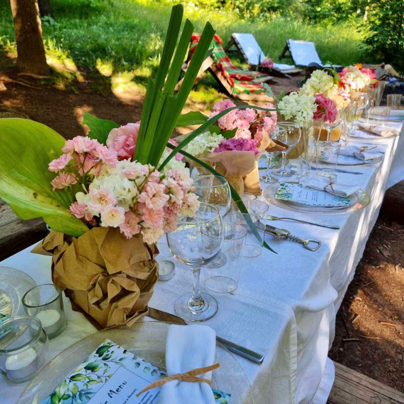 Nature, taste and shared moments – elegant picnic in Vitosha