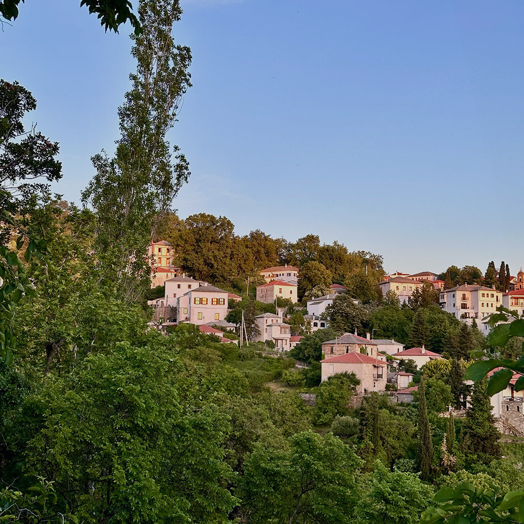 Wine and gastronomic holiday for two. Portaria, Greece