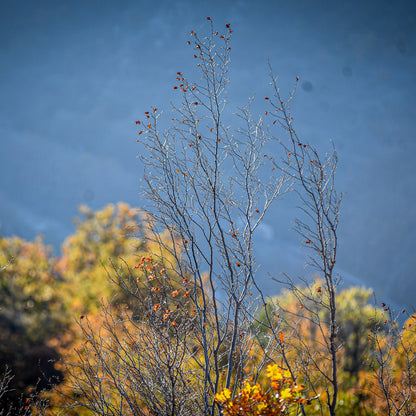 Eco adventure in Debeli Dab: Two nights with a scenic walk