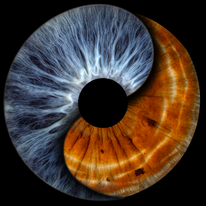 Your eyes as a masterpiece. Iris photography in Sofia