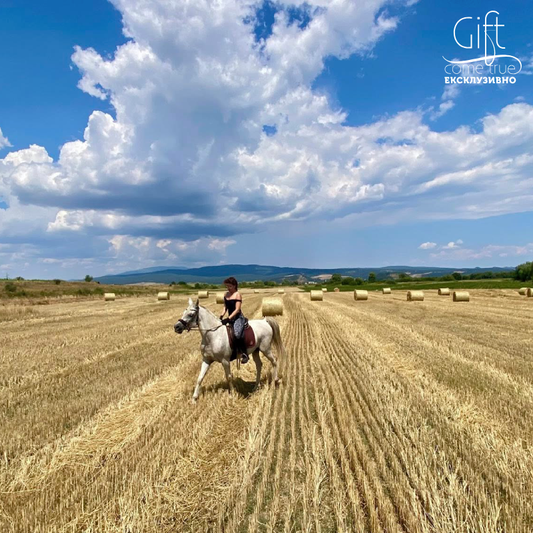 Horse riding in Rila for beginners. Galloping to happiness. 5 or 10 Lessons. Rancho Rila