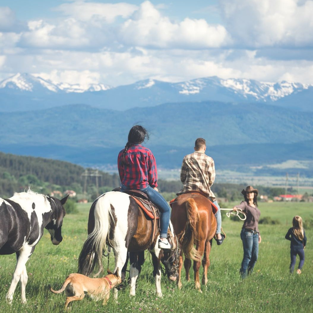 Romance ... on saddles! Horse riding for two