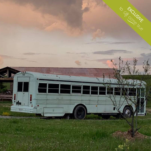 Learn to Drive american Army bus BlueBird