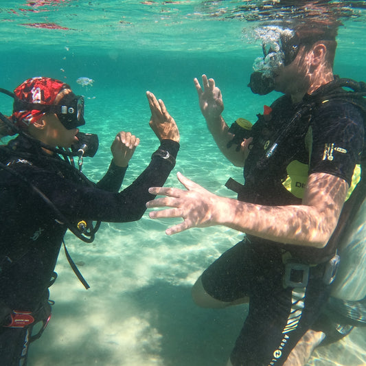 Experience an unforgettable adventure in Greece