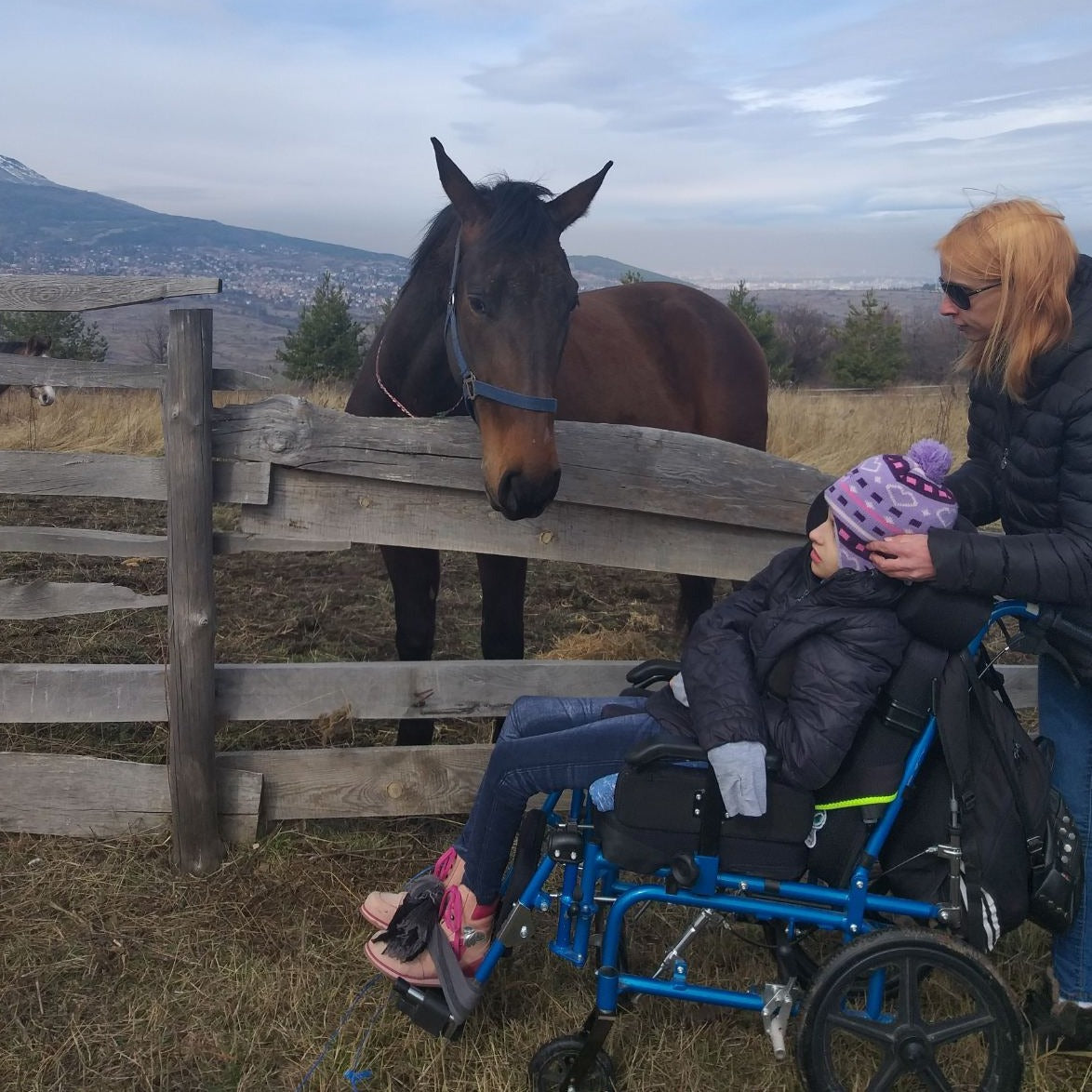 A gift for good people. You gave good. Help a disabled child, adopt a therapist horse