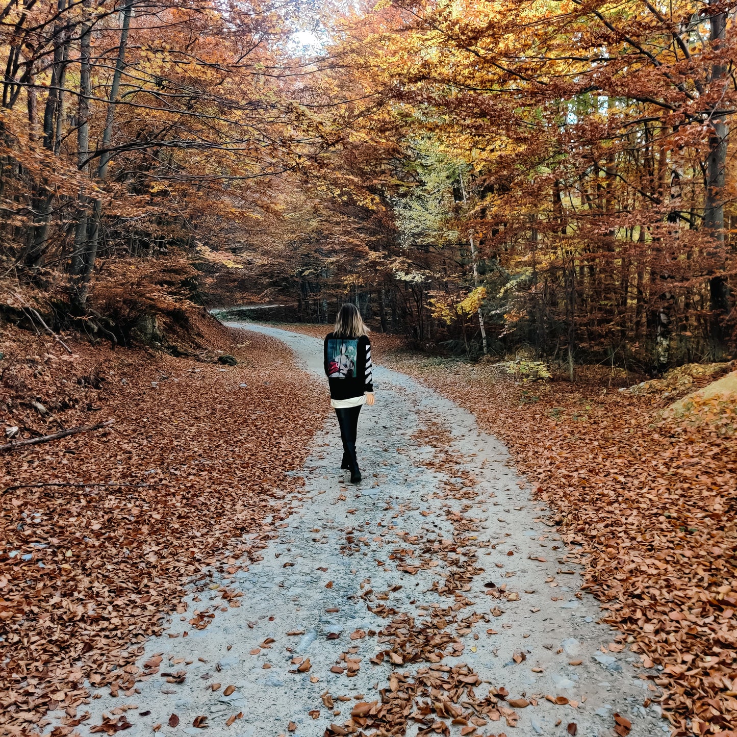 The Secret Trip. Magic of the Rhodope mountains