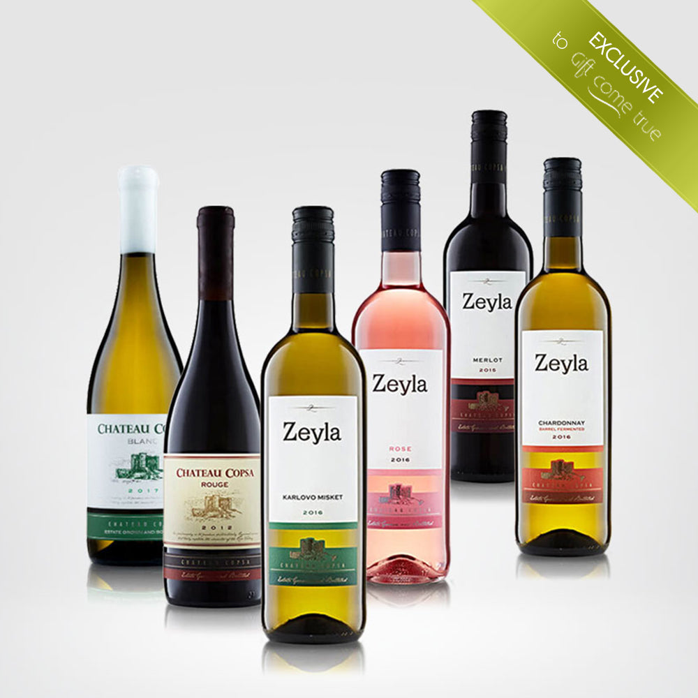 Special wine selection - Specially for you. Delivery to your home