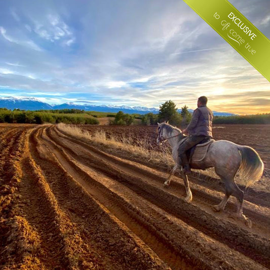 Horse riding in Rila for beginners. Galloping to happiness. 5 or 10 Lessons. Rancho Rila