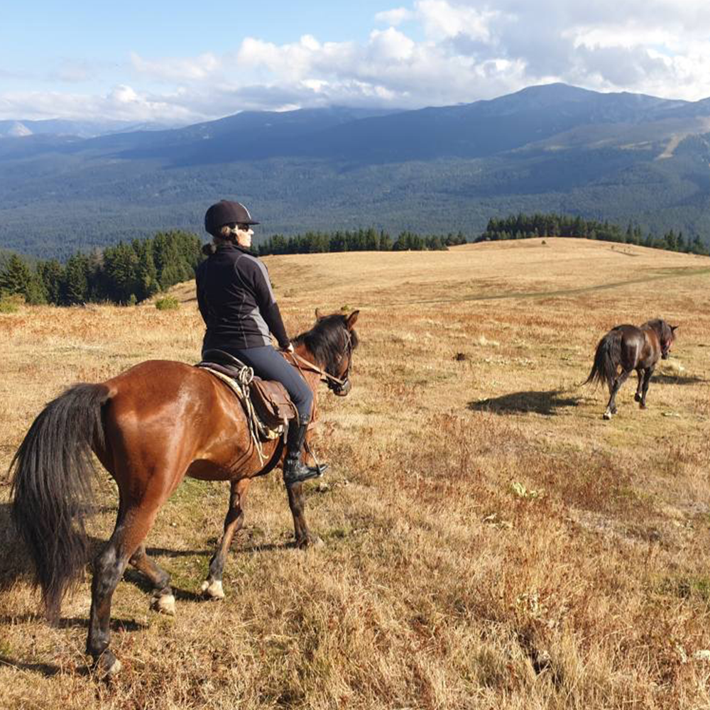 Horse riding in Rila for beginners. Galloping to happiness. 5 or 10 Lessons. Rancho Rila
