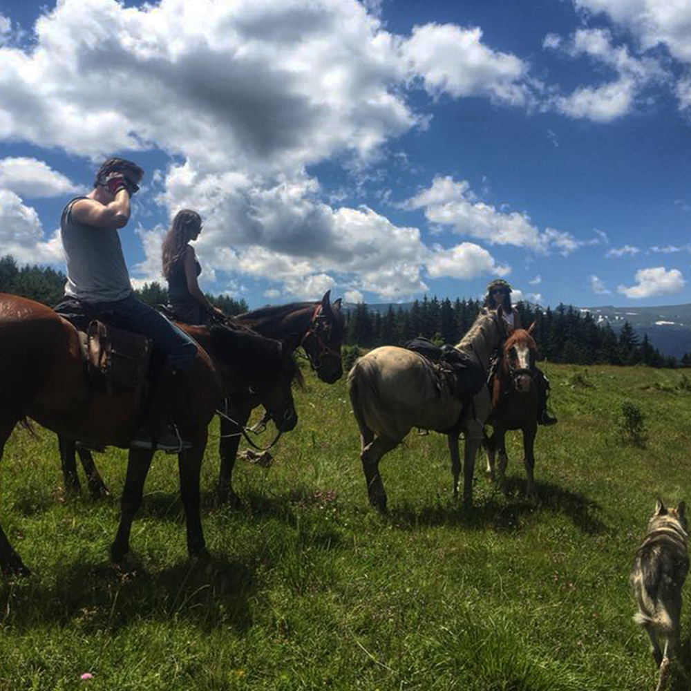 Horse riding in Rila for beginners. Galloping to happiness. 5 or 10 Lessons. Rancho Rila