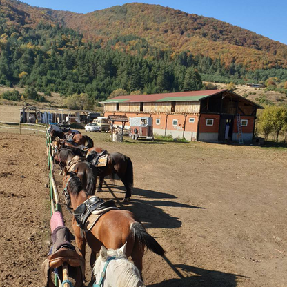 Horse riding in Rila for beginners. Galloping to happiness. 5 or 10 Lessons. Rancho Rila